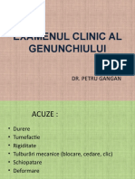 Examenul Clinic Al Genunchiului