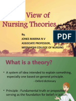 Introduction To Nursing Theories