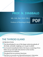 Prof. N. Syabbalo: MB., CHB., PHD., FCCP., FRS., Fiba Professor of Physiology & Medicine