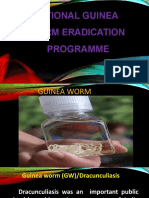 National Guinea Worm Eradication Programme