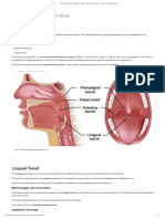 The Tonsils (Waldeyer's Ring) - Lingual - Pharyngeal - Palatine - Tubal - TeachMeAnatomy