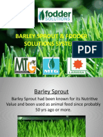 Barley Sprout and Fodder Solutions System (Jakarta)