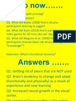 Brain Plasticity and Functional Recovery - Evaluation and Questions