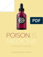 Dzongsar Khyentse Rinpoche - Poison Is Medicine