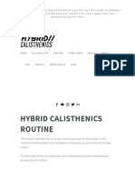 Routine - Hybrid Calisthenics