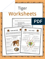 Sample Tiger Worksheets