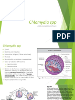 Chlamydia SPP: Angelica Barbosa Buitrago