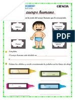 C.A 02 Cuerpo Humano