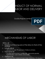 Conduct of Normal Labor and Delivery