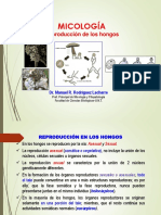 Micología. Reproducción de Los Hongos