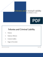 Felonies and Criminal Liability