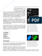 Barr Body: Chromatin Is An Inactive X Chromosome in A Cell With More Than