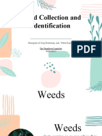 Weed Collection and Identification: Principles of Crop Protection, Lab: Weed Science Ilm Sanghiron Lagaylay Instructor I