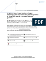 Graphene Based Materials Do Not Impair Physiology Gene Expression and Growth Dynamics of The Aeroterrestrial Microalga Trebouxia Gelatinosa