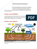 Carbon Cycle-Definition - Explanation - Diagram