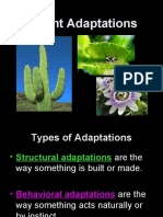 Plant Adaptations