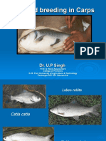 Induced Breeding in Carps