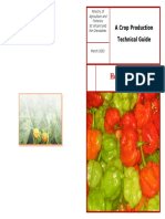 Hot Pepper: A Crop Production Technical Guide