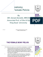 Anatomy of The Female Pelvis: by DR. Zeinab Abotalib, MRCOG Associate Prof. of Obs & Gyn - King Saud University