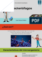 Bacteriófagos