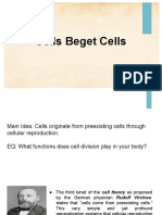 Lesson 15.1 Cells Beget Cells