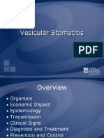 Vesicular Stomatitis