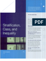 Stratification, Class, and Inequality: The Big Questions