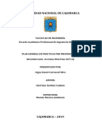 Estructura de Plan General de Practicas Pre Profesionales - Primera Modalidad