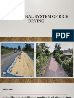 Traditional System of Rice Drying