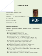 CV Diego Jimenez Flores