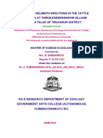 Study On The Helminth Infections in The Cattle (Bos Taurus) at Thirukandeeswaram Village Nannilam Taluk of Tiruvarur District