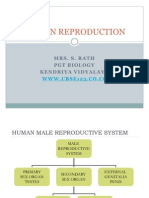 Human Reproduction