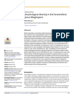 Morphological Diversity in The Foraminiferal Genus