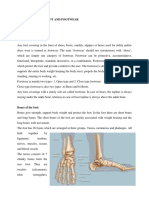 Anatomy of Human Foot & Footwear