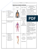 Body Systems Notes