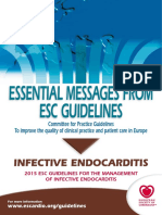 Essential-Messages IE 2015 5-Web