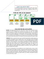 Ciencia y Ambiente 22-07-2022 Ciclo de Vida de Las Plantas