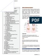 Johanna Jane H. Macasero - Endocrine System Transcript