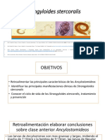 Strongyloides PII21 y PI22