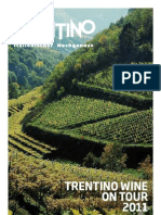 TRENTINO WINE ON TOUR - Eine Reise Durch Die Faszinierende Weinvielfalt Des Trentino