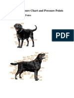 Dog Acupressure Chart and Pressure Points