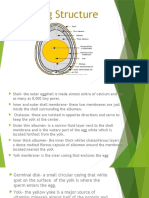 Egg Structure