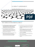 Environmental Impact Assessment