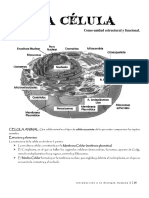 Unidad 3 - La Célula