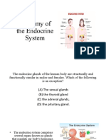 Anatomy of The Endocrine System