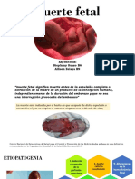 Muerte Fetal - Ginecología