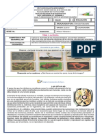 Guia Del Primer Trimestre - Ciencias Naturales - Grado Quinto - 2023