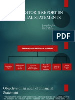 Chapter 11 THE AUDITORS REPORT ON FINANCIAL