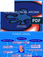 CKD Du 22