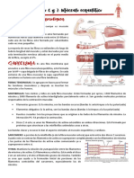 Contracción Del Musculo Esqueletico - Fisiología